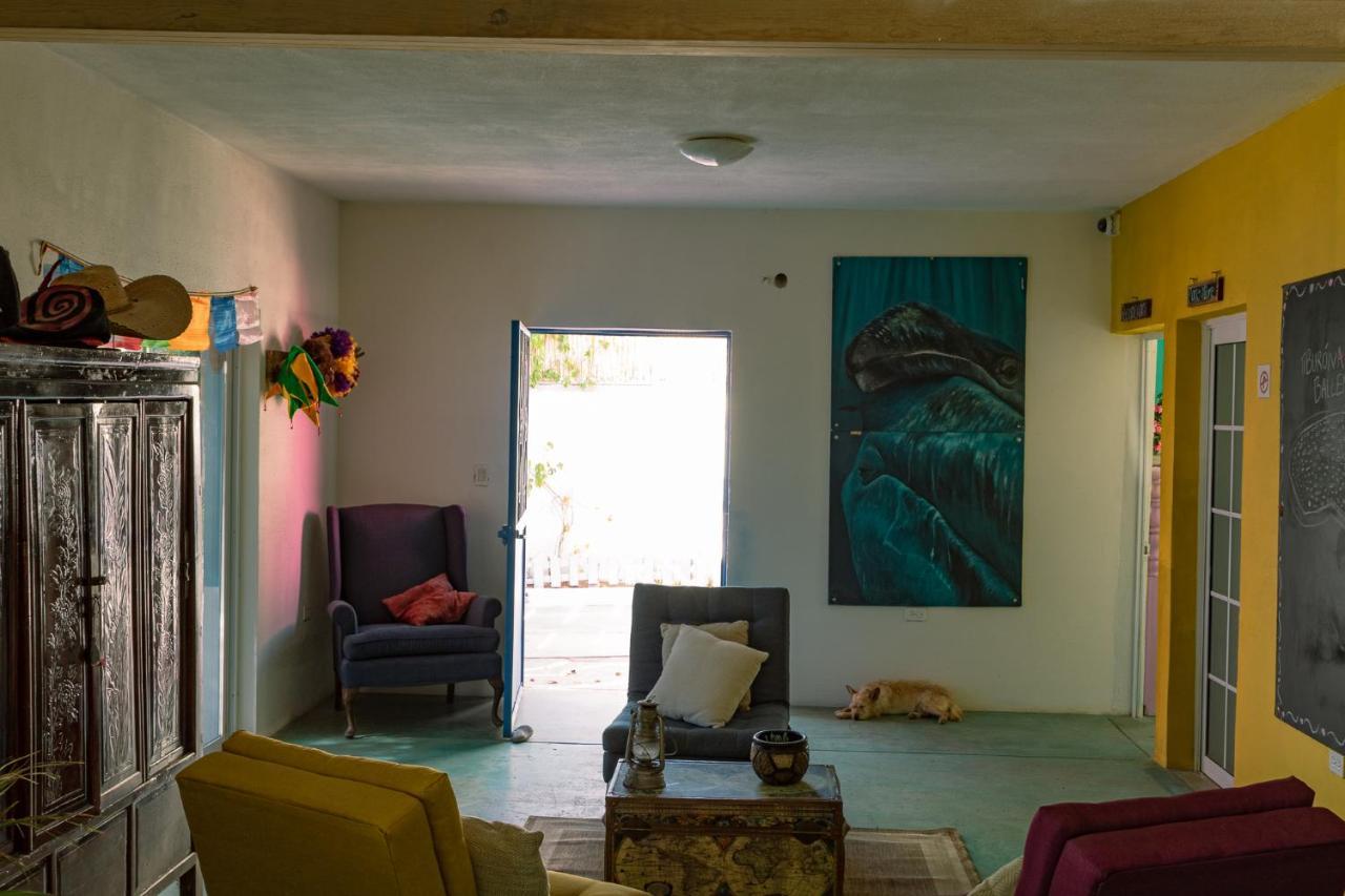 Peace Hostel Mx La Paz Zewnętrze zdjęcie