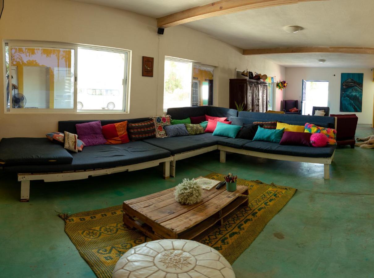 Peace Hostel Mx La Paz Zewnętrze zdjęcie