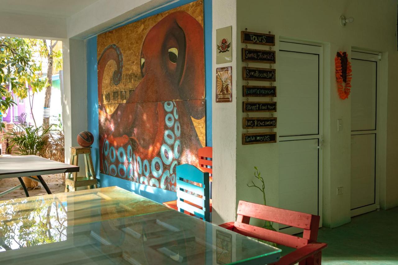 Peace Hostel Mx La Paz Zewnętrze zdjęcie