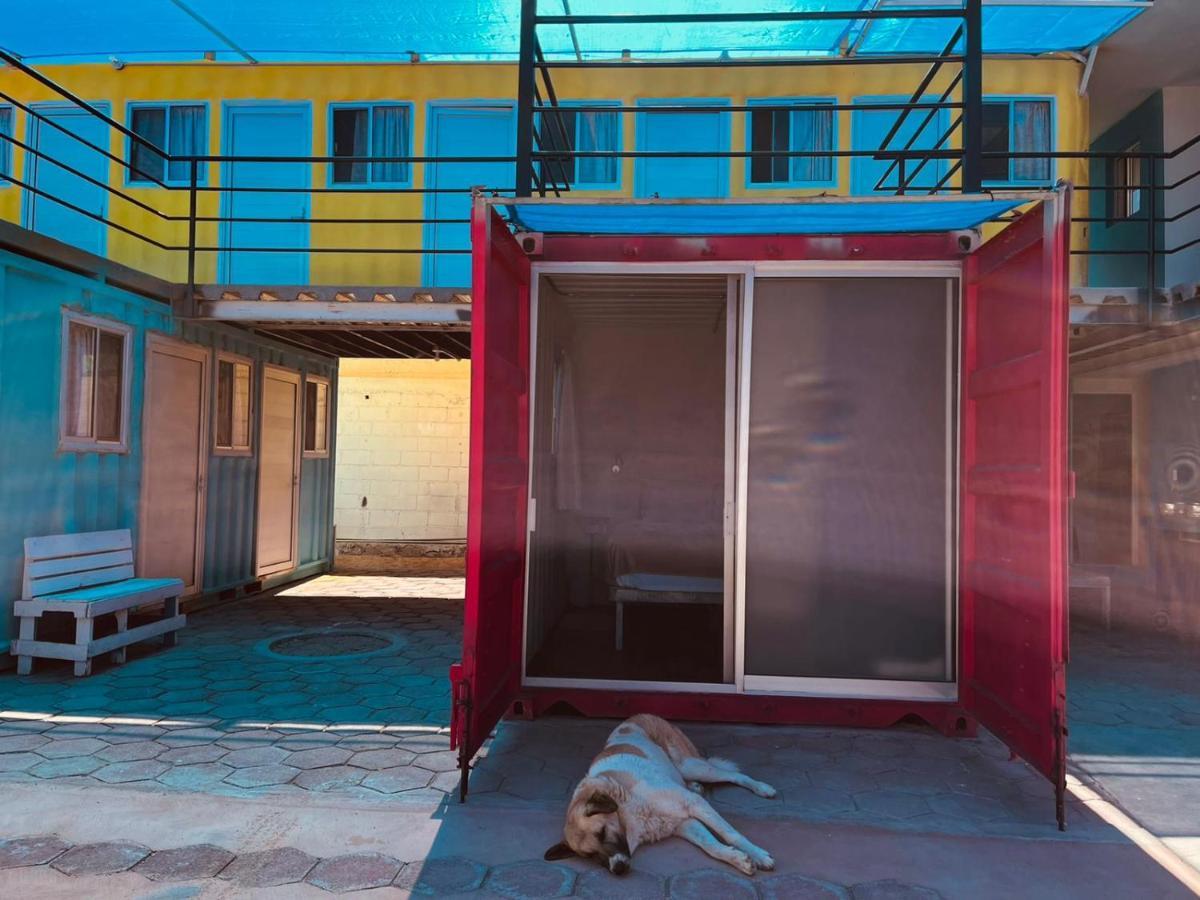 Peace Hostel Mx La Paz Zewnętrze zdjęcie