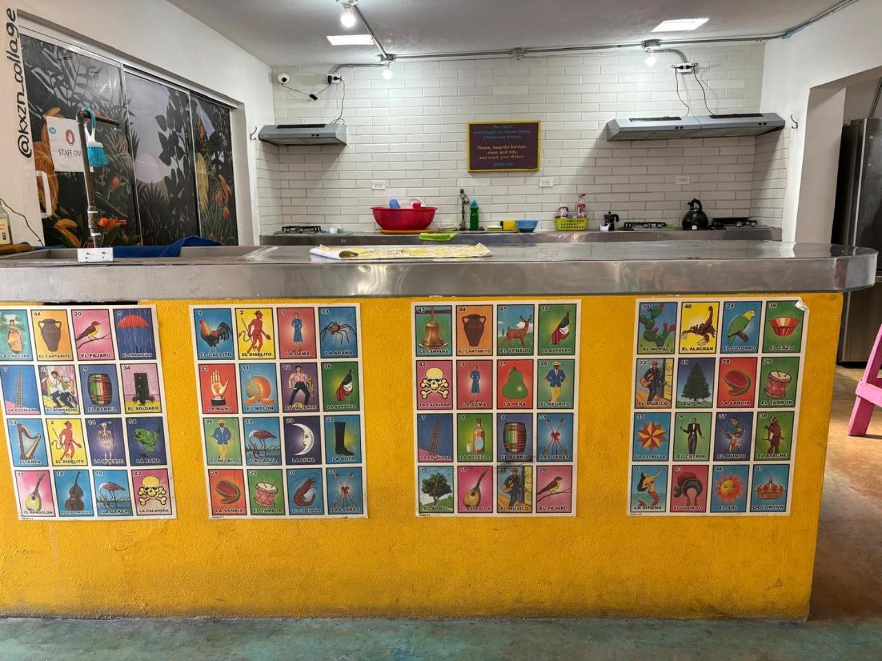 Peace Hostel Mx La Paz Zewnętrze zdjęcie