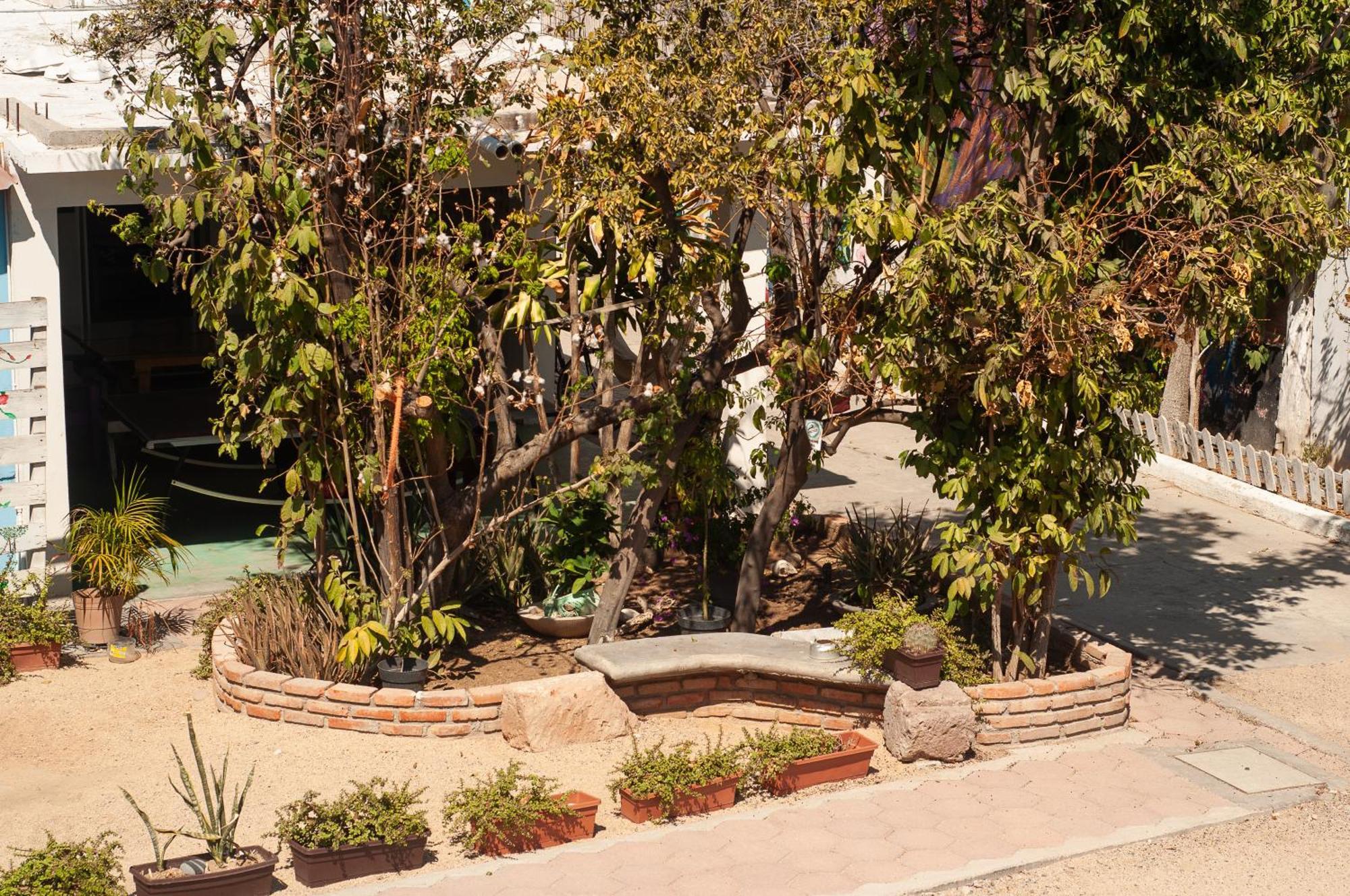 Peace Hostel Mx La Paz Zewnętrze zdjęcie